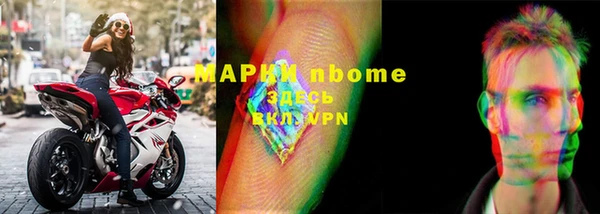 индика Алзамай