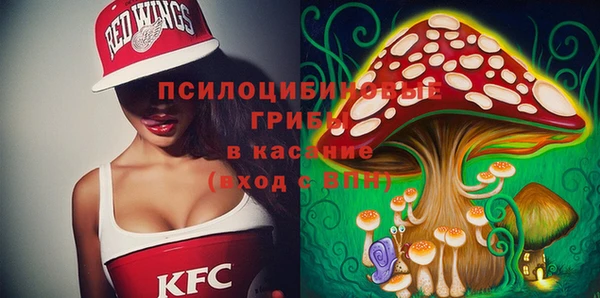 индика Алзамай