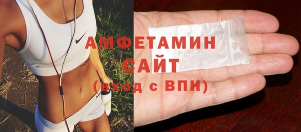 индика Алзамай