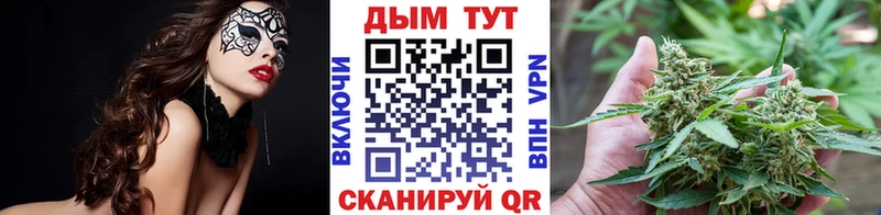 Канабис гибрид  наркошоп  Абинск 